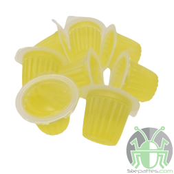 Gelatina de escarabajo de plátano 16 g - Paquete de 10