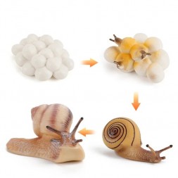 Figurines cycle de l'escargot