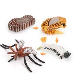 Figurines cycle du moustique