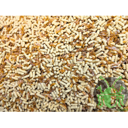 Complément protéine