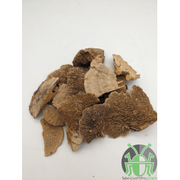 Sachet champignons secs