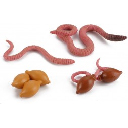 Figurines cycle du ver de terre