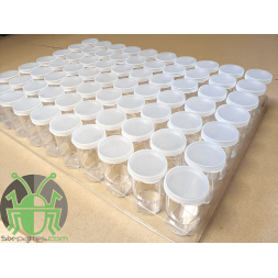 Kit 70 bottles 25mL + support
