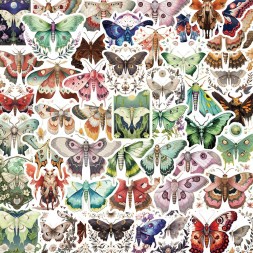 50 Autocollants papillon