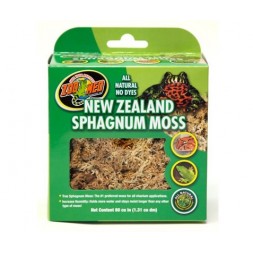 Musgo Sphagnum