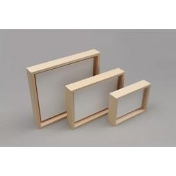 3D Insects - Natural Wood Frames