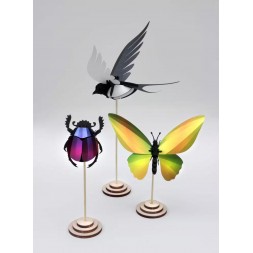 Insectes 3D - Support individuel