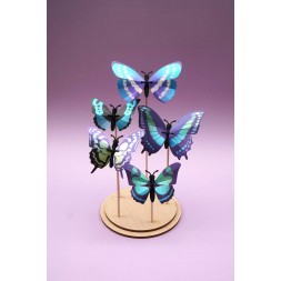 Insectes 3D - Support groupe