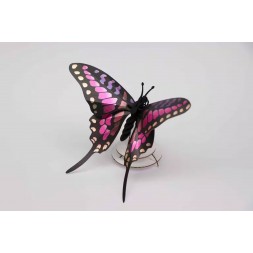 Insectes 3D - Papillon Épée Rose