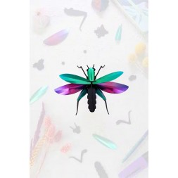 Insectes 3D - Sauterelle