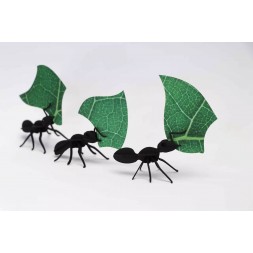 Insectos 3D - Hormigas cortadoras de hojas