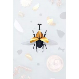Insectes 3D - Scarabée Rhinocéros
