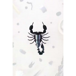 Insectes 3D - Scorpion