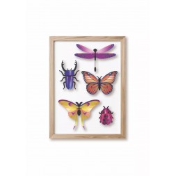 Insectes 3D - Lot 5 insectes mixtes
