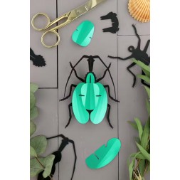 3D Insects - Violin Beetle