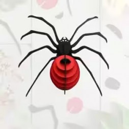 3D Insekten - Spinne