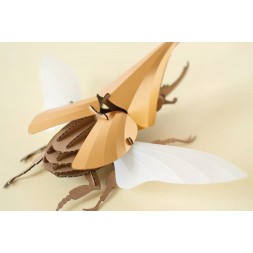 3D Insects - Hercules Beetle