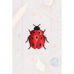 Insectes 3D - Coccinelle