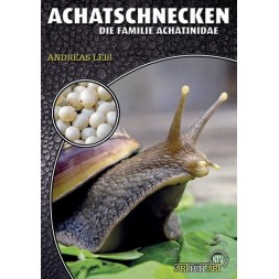 Achatschnecken: Die Familie Achatinidae