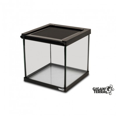Glas-Terrarium GIGAVIAL S – 20×20×20
