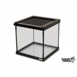 Terrarium en verre GIGAVIAL S – 20×20×20