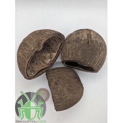Palm Pod - Set di 3