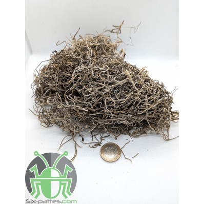 Tillandsia - 25g