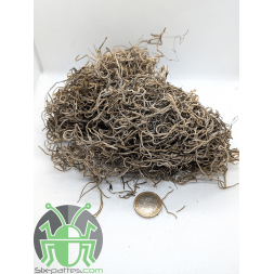Tillandsia - 25g