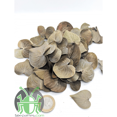 Feuilles de coracao - 15g