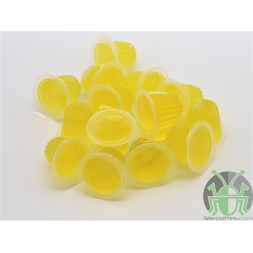Beetle jelly Ananas 16g - Lot de 10