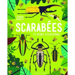 Scarabs and other beetles