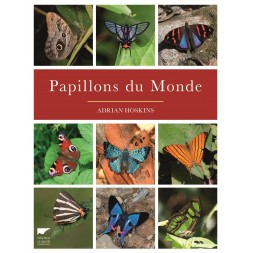 Mariposas del mundo