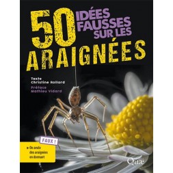 50 idées fausses sur les araignées