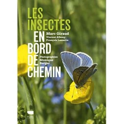 Les insectes en bord de chemin