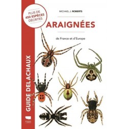 Araignées de France et d'Europe