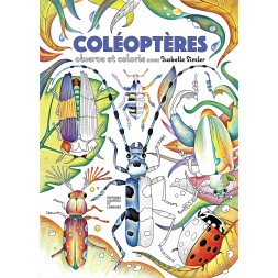 Coléoptères