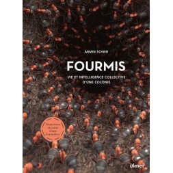 Formiche - vita e intelligenza collettiva di una colonia