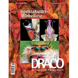 Spektakuläre Wirbellose ( Draco 59 )