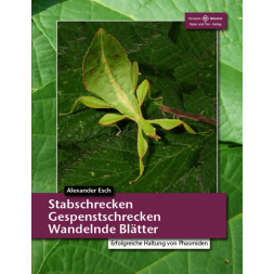 Stabschrecken, Gespenstschrecken, Wandelnde