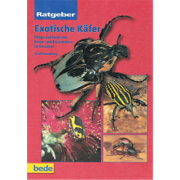 Exotische Käfer - Ratgeber