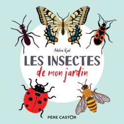 Los insectos en mi jardín