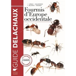 Western European Ants