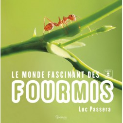 L'affascinante mondo delle formiche