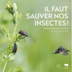 Dobbiamo salvare i nostri insetti!