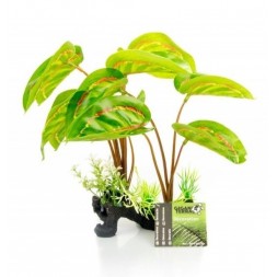 Plante artificielle - Marantha Leuconeura - 30cm