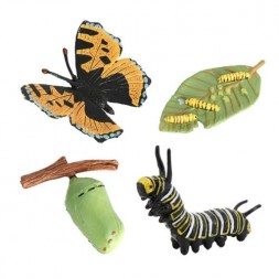 Figurines cycle du papillon N°2