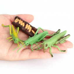 Figurine del ciclo di cricket