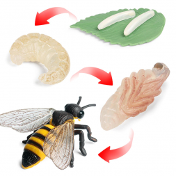 Figurines cycle de l'abeille