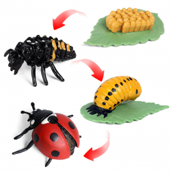 Figurines cycle de la coccinelle