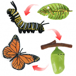 Figurines cycle du papillon